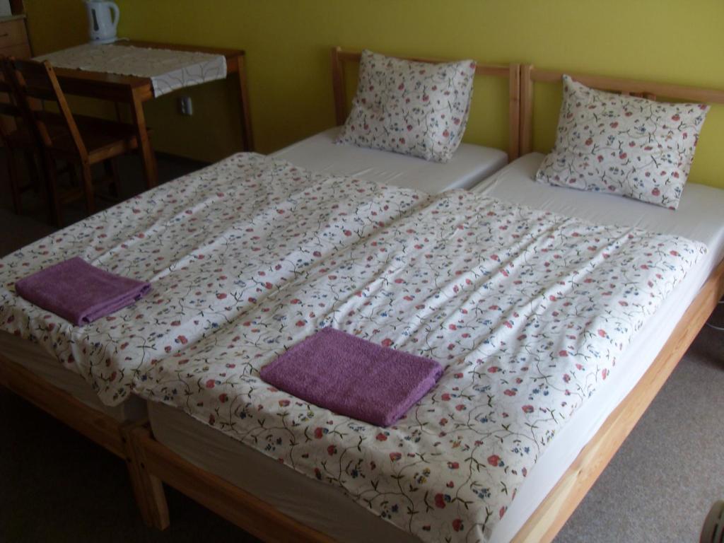 Ubytovani U Pekare Decin Chambre photo